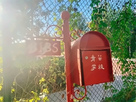 青苗学校