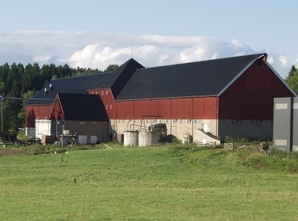 挪威生命科学大学