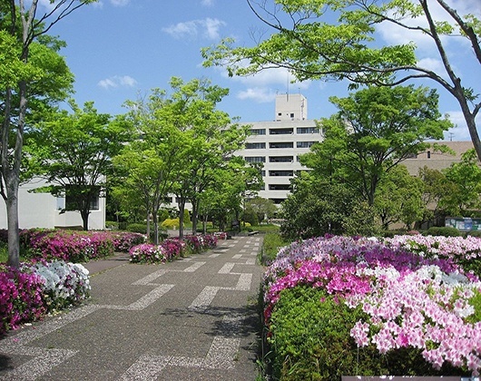 兵库教育大学