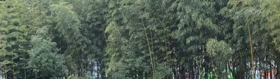 富县高级中学2020年招生招生简章