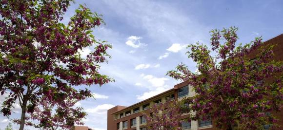 甘肃卫生职业学院2020年学费、收费多少