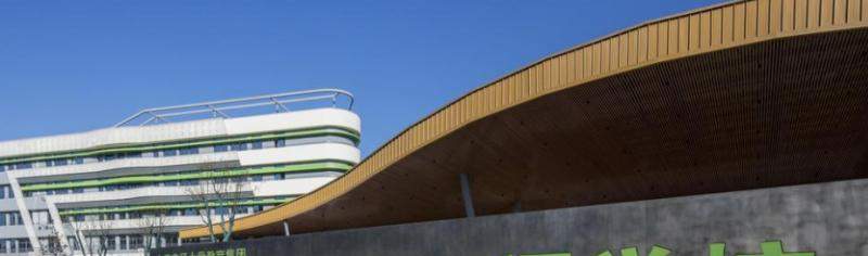 湖州帕丁顿双语学校2020年招生简章