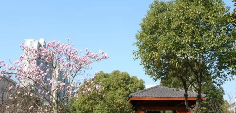 江苏省前黄高级中学历年招生分数线一览表(2023参考)