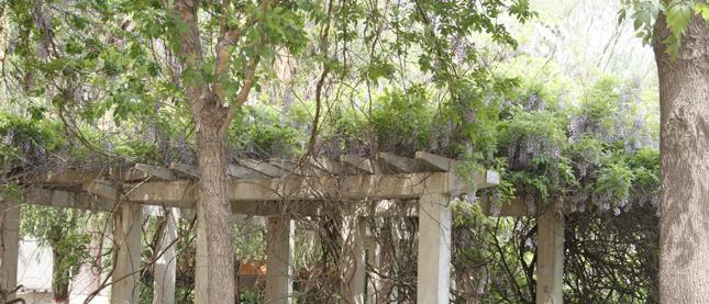 沧州市职业技术教育中心2022年报名条件、招生要求、招生对象