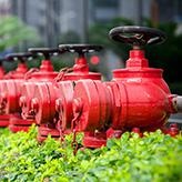 提供考试题库练习