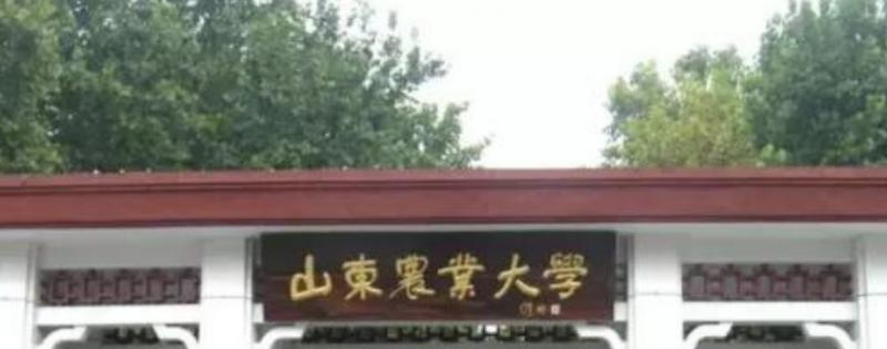 山东农业大学最新全国排名第182（2023参考）