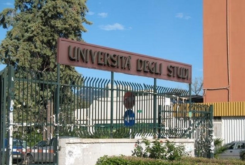 巴勒莫大学