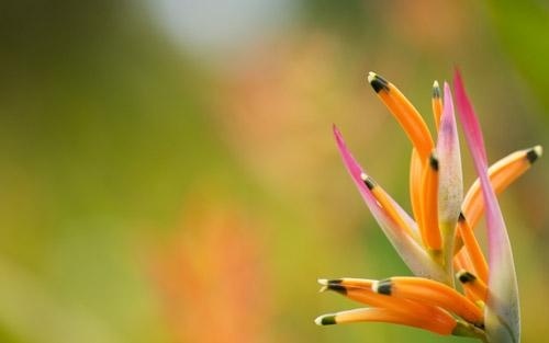 勤俭节约从点滴做起演讲稿