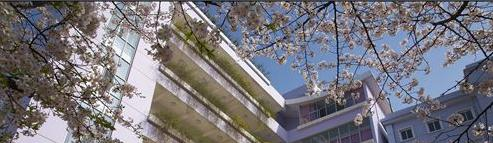 湖北艺术职业学院单招报名时间