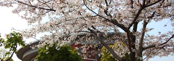 江苏锡山高级中学2020年招生代码