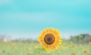 学会创造与思考