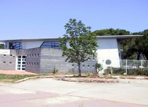 蒙波利埃第二大学