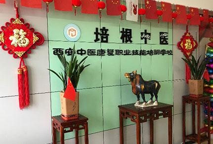 西安培根中医
