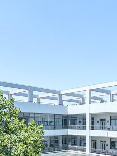 学习误区