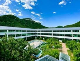济南晨露培训学校