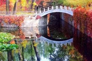 橘郡国际学校（北京校区）人工湖