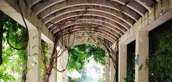 甘肃省庆阳中学2023年网站 