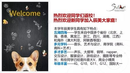 辰美国际艺术教育