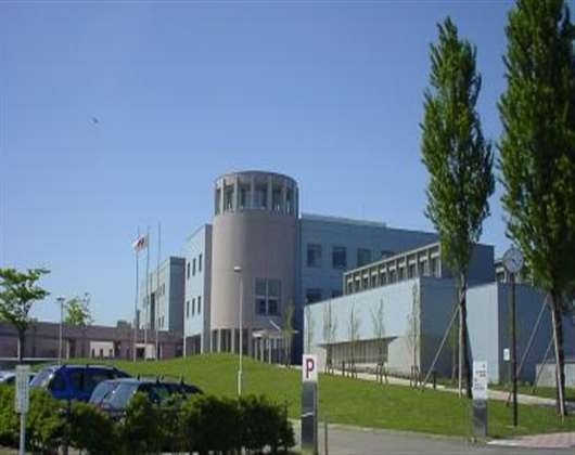 制作大学