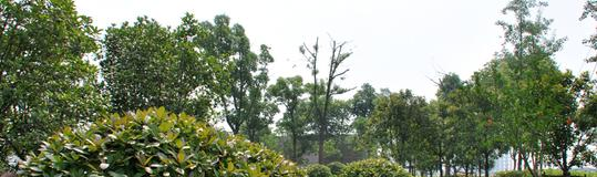 安徽城市管理职业学院2020年招生办