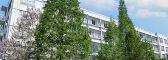 临沂市电子科技学校