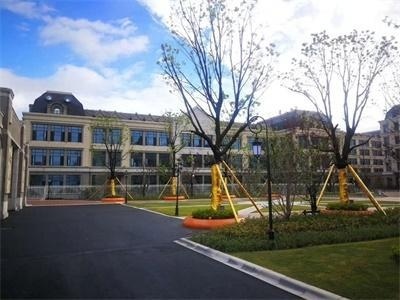 合肥新华公学