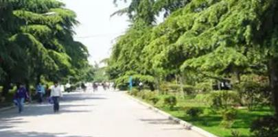 2023阜阳市信息工程学校招生简章