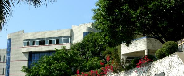 深圳石岩公学国际部高中2023年招生计划