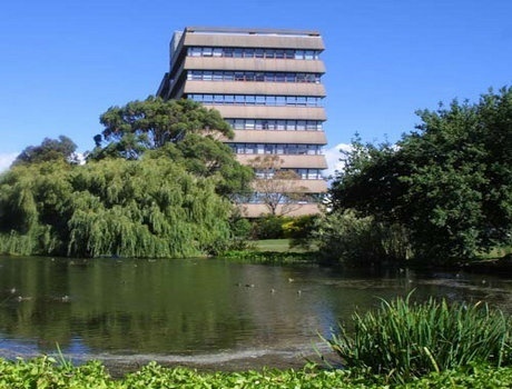 梅西大学