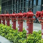 精讲习题