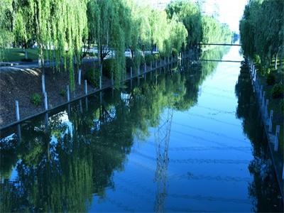 上海立信会计学院国际本科