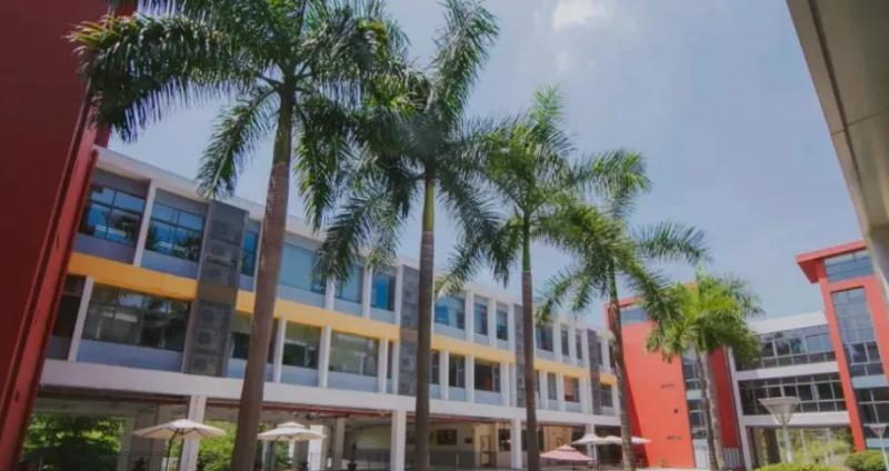 广州誉德莱国际学校小学部2023年报名时间