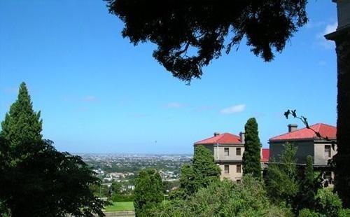 开普敦大学