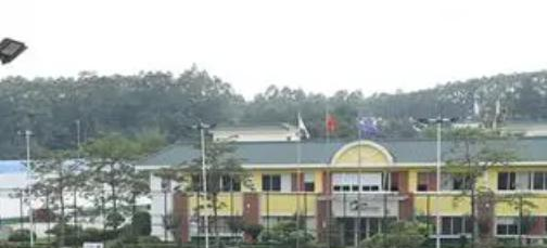 广州誉德莱国际学校高中部2023年课程体系