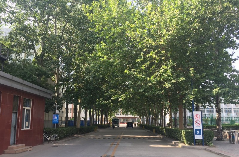 石家庄商业外事职业学校