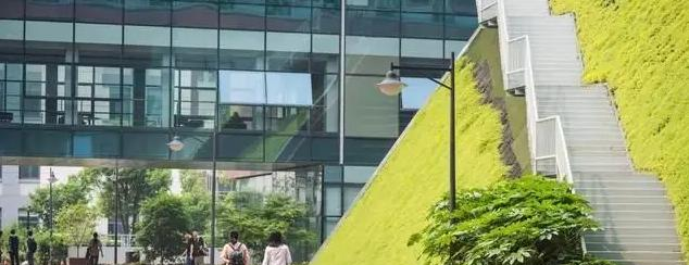 西交利物浦大学附属学校初中部怎么样2