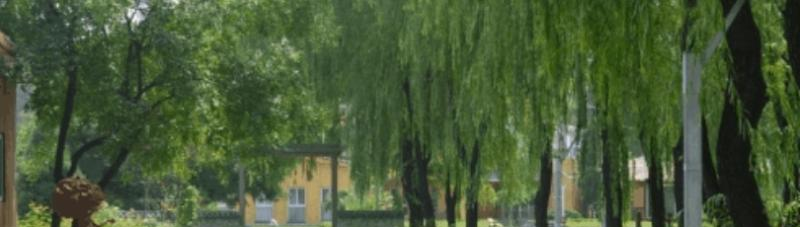 金平县职业高级中学2022年招生简章