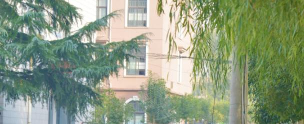 河南技师学院