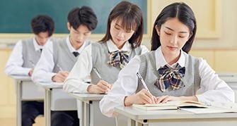 点睛阶段290+