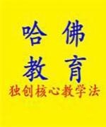 王老师