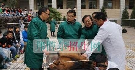 四川省南江县职业中学