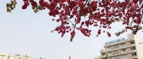云南交通高级技工学校