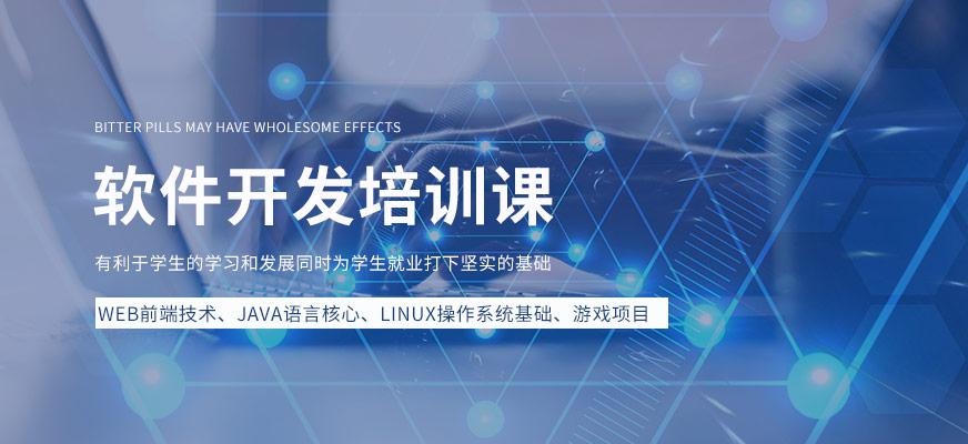 软件开发培训