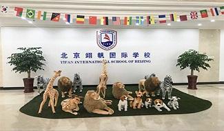 精彩相片