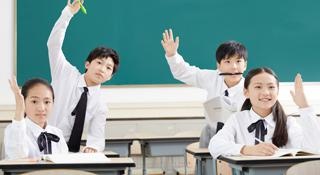 写作与逻辑思维训练