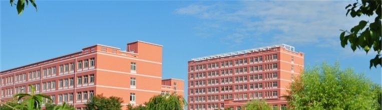 河西学院单招成绩查询时间