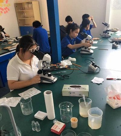 上海Lee Academy国际高中教学理念