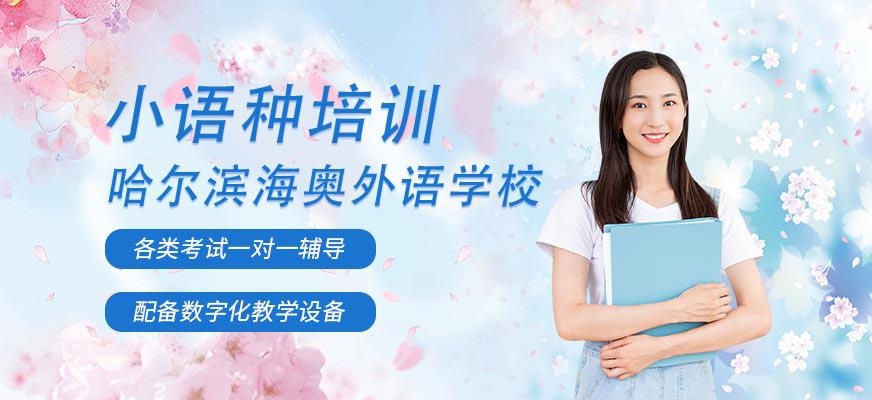 哈尔滨海奥外语学校