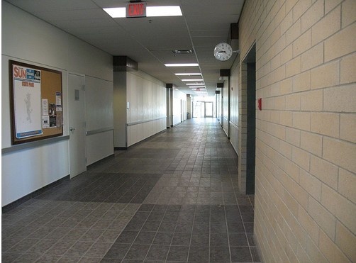 皇家山大学