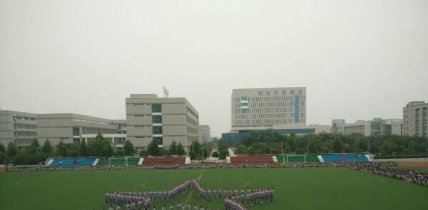 河南艺术职业学院2019年单招录取分数线